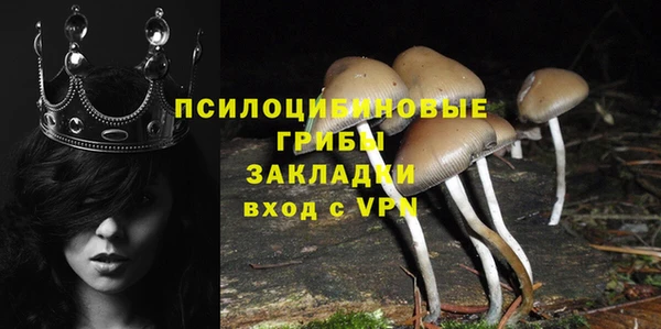 ECSTASY Каменногорск